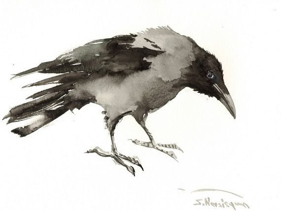 Ворон акварелью