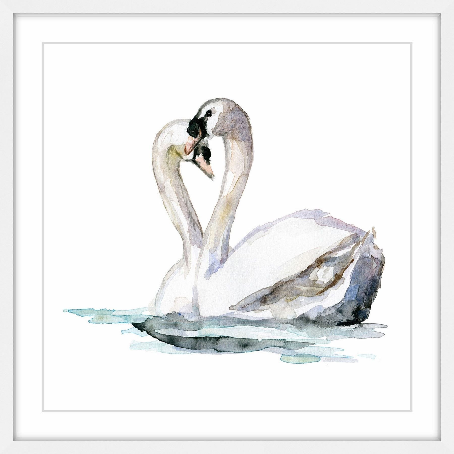 Лебедь акварель на белом фоне