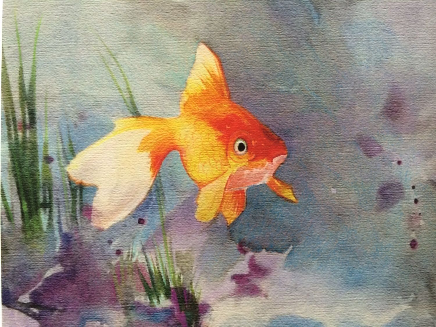 Золотая рыбка акварель