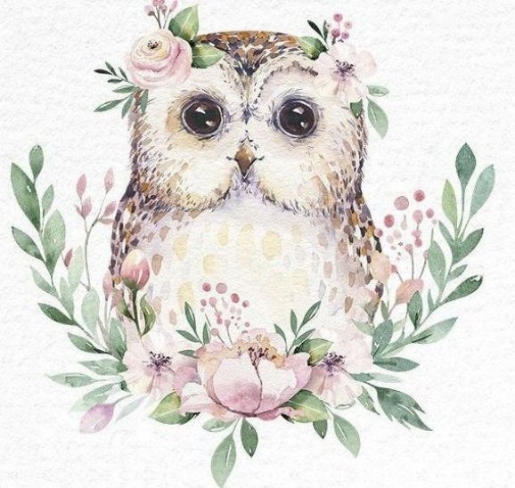 Пейзаж с совой