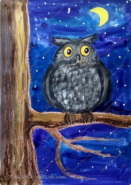 Иллюстрации Алина Сканцева