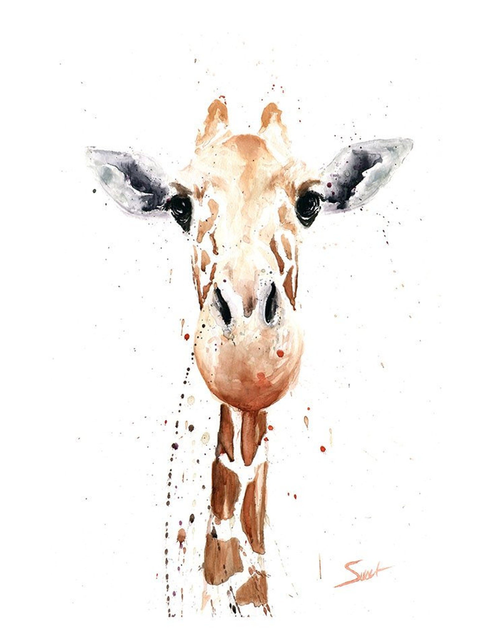 Жираф рисунок акварелью