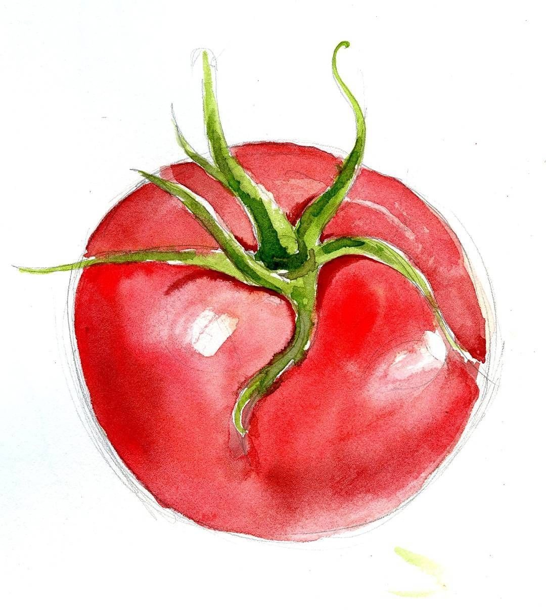 Нарисовать помидор акварелью