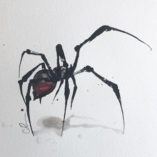 Паук акварелью