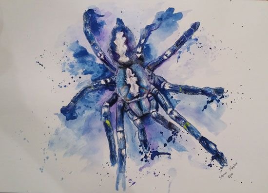 Тарантул арт акварель