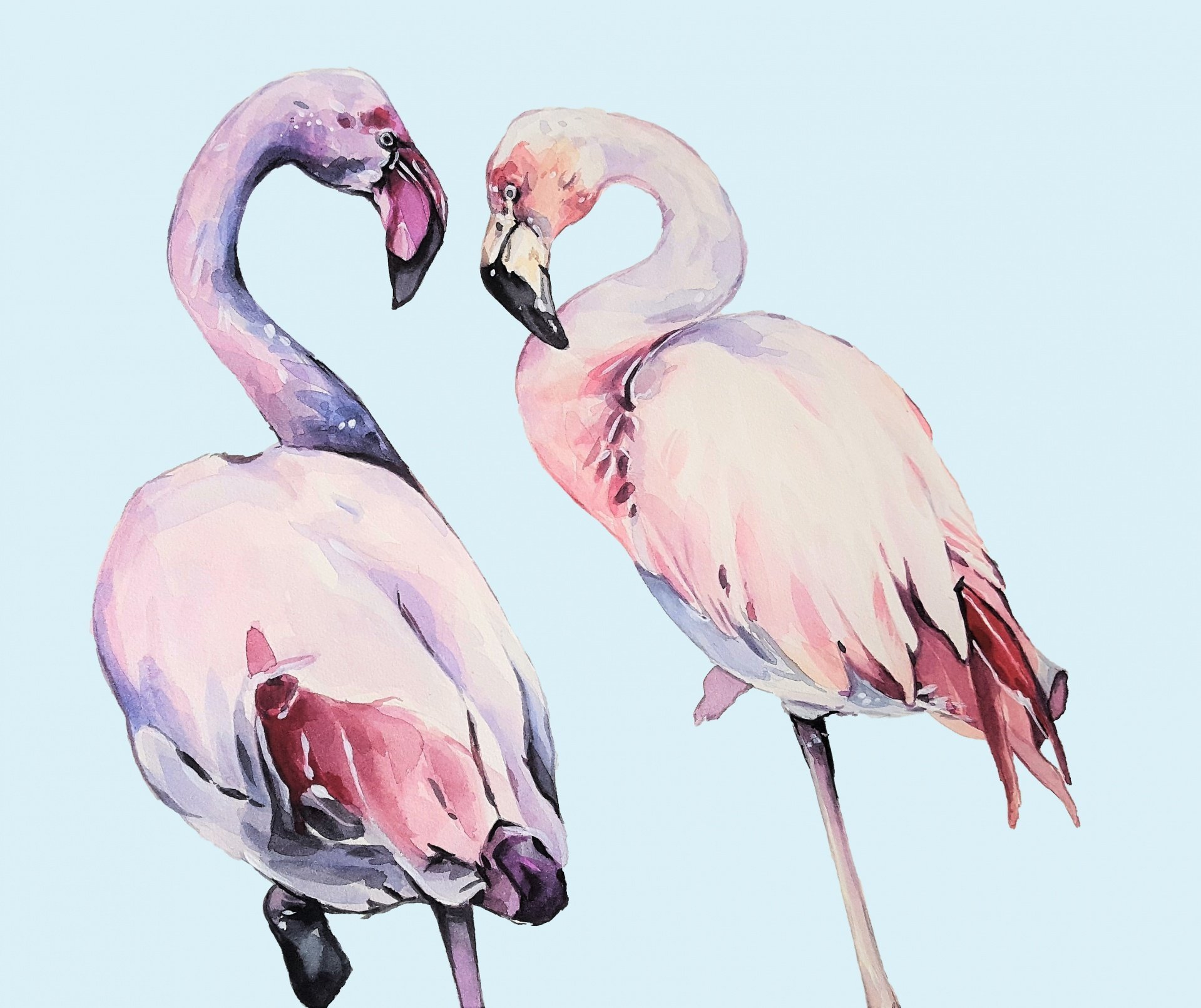 Flamingo Aquarelle