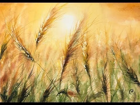 Пшеница Постер акварель