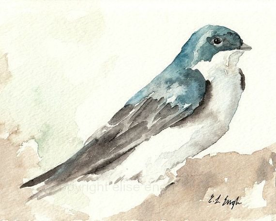 Стриж акварель