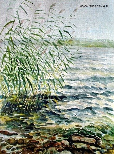 Озеро с камышами гуашью
