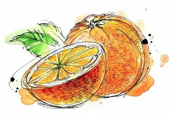 Рисование апельсина и лимона