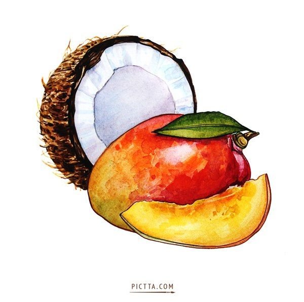 Фрукты акварелью