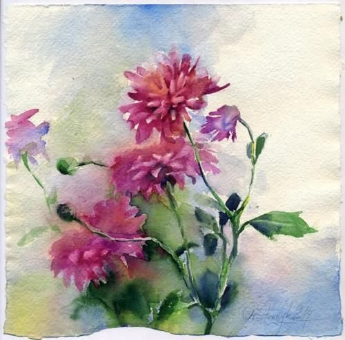 Хризантема акварелью Аля Прима