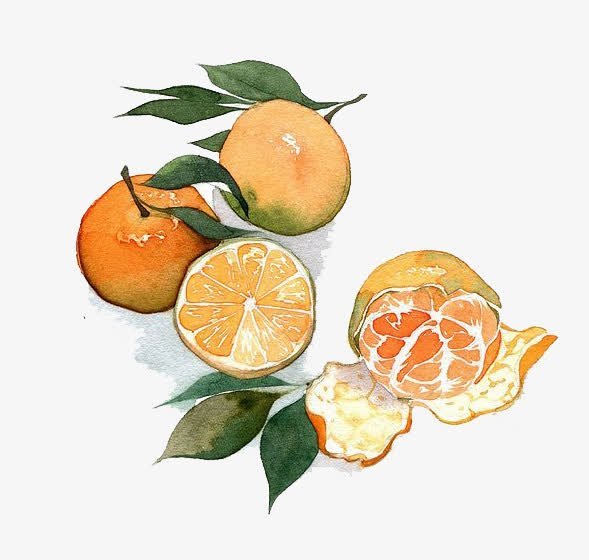 Апельсин акварелью