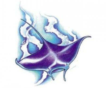 Тату Скат эскизы цветные