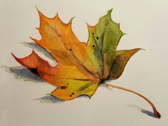 Этюд осенних листьев