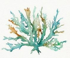 Кораллы акварель