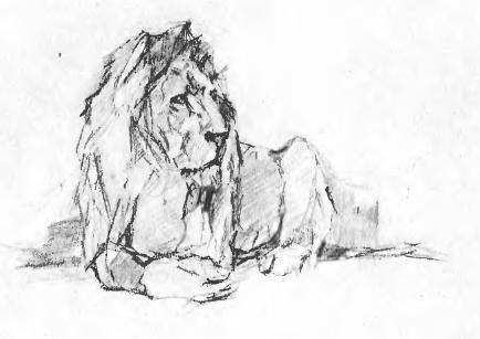 Рисунки коли Дмитриева