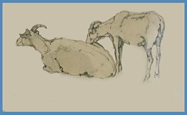 Рисунок лошади коли Дмитриева