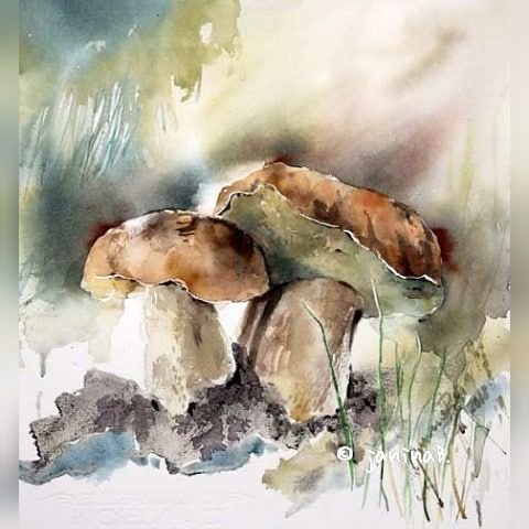 Натюрморт с грибами акварель