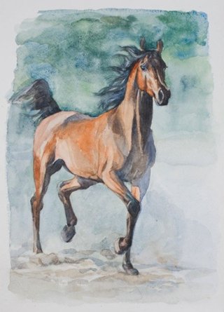 Лошадь гуашью
