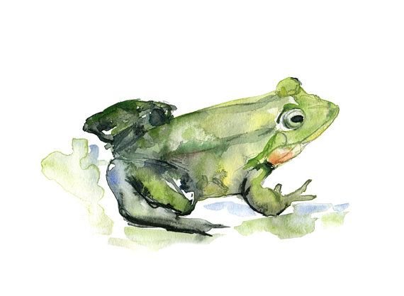 Жаба акварелью