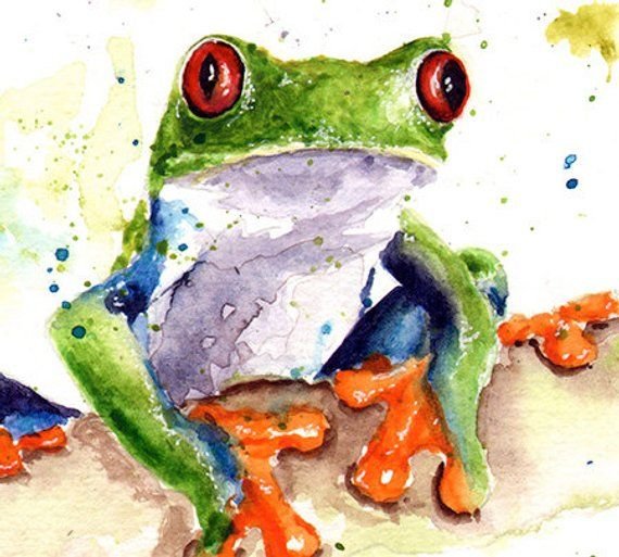 Древесная лягушка акварелью