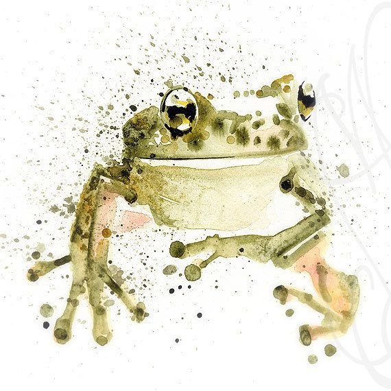 Японская акварель лягушка