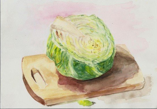 Капуста акварелью
