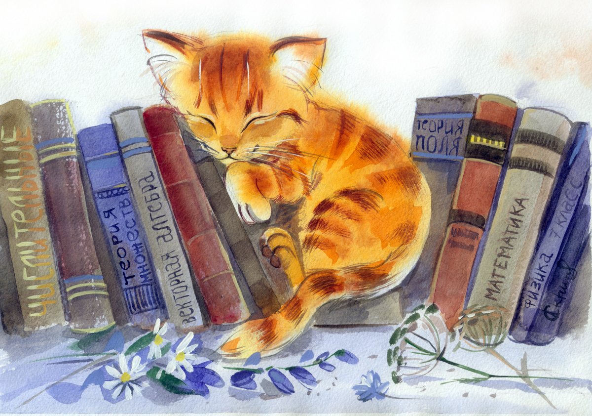 Котёнок с книжкой
