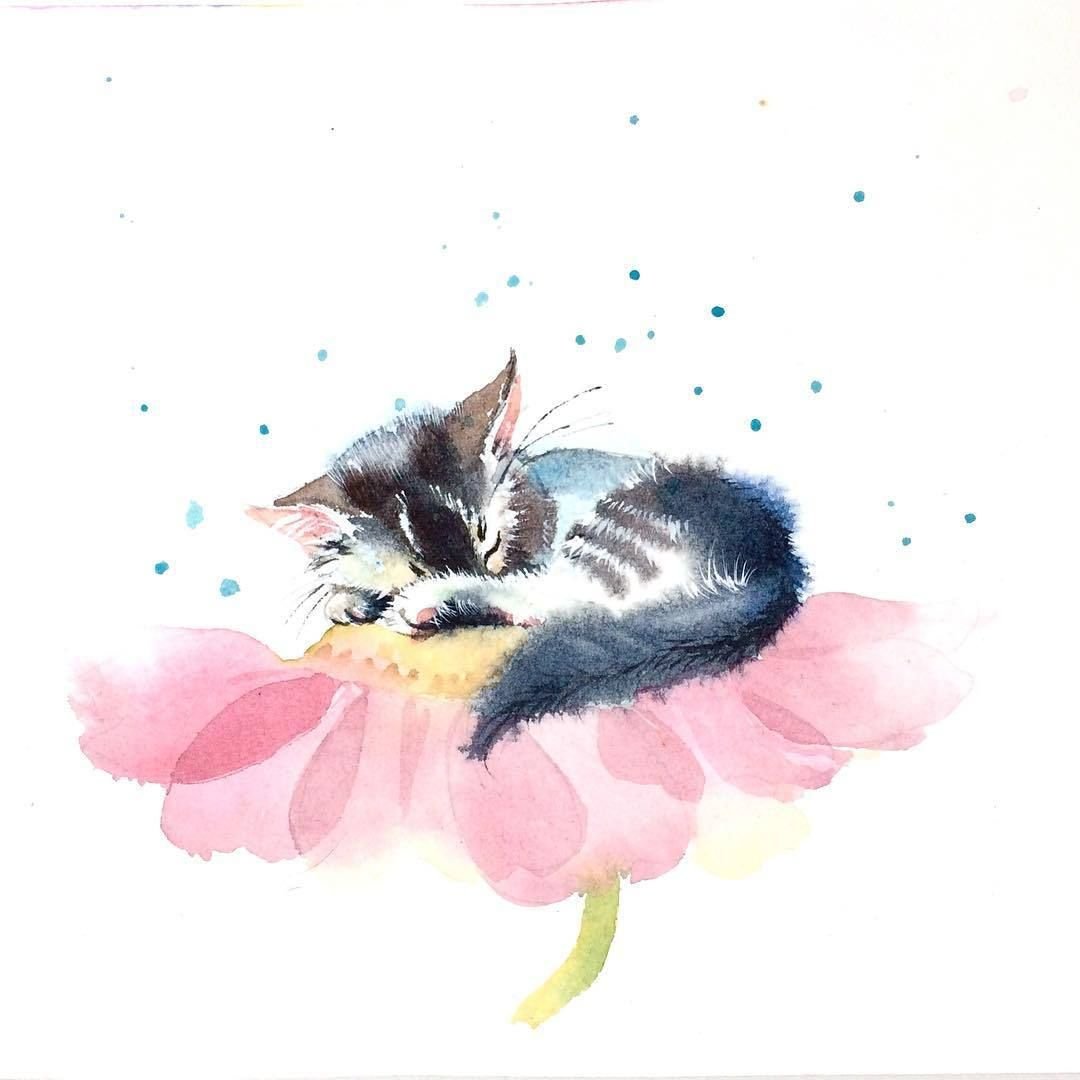 Кот с цветами акварель