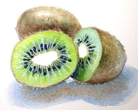 Киви акварелью