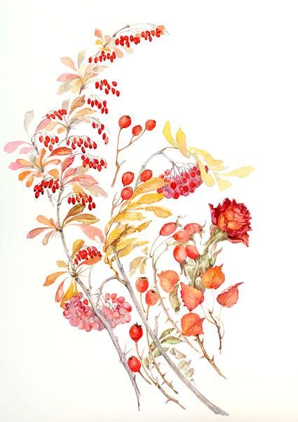 Акварельные осенние рамки