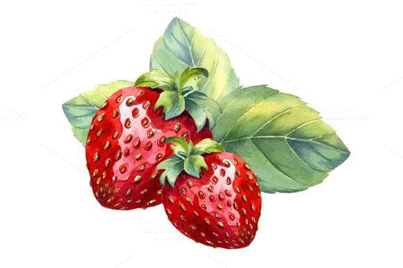 Клубника акварель вектор