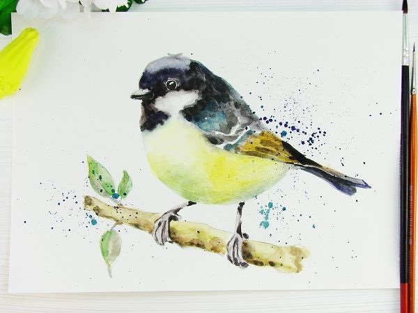 Этюды птиц акварелью синица