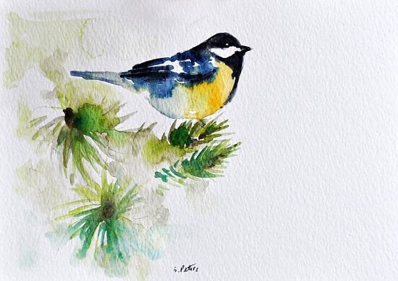Этюд синицы акварелью