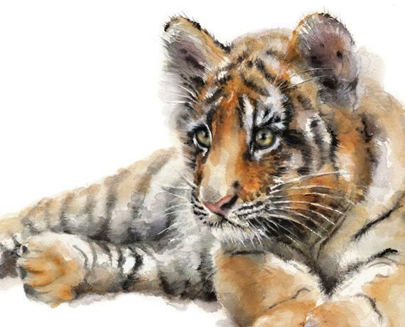 Тигренок акварель