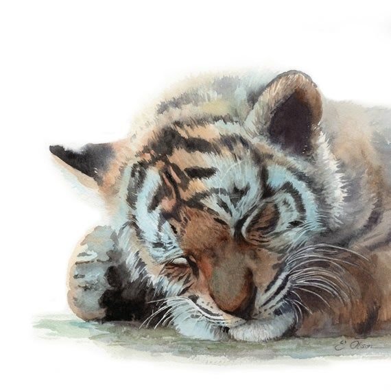 Милый Тигренок акварель