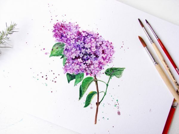 Сирень акварелью для начинающих