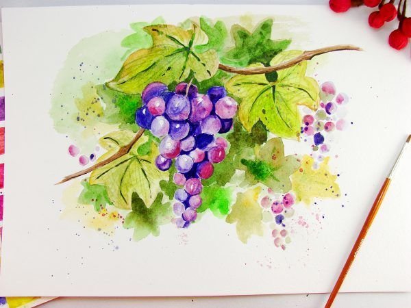 Виноград акварелью для детей