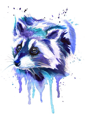 Акварельный енот