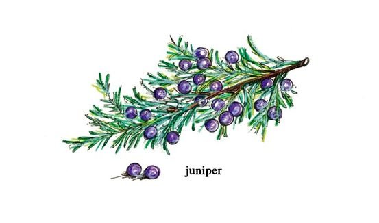 НГ акварель