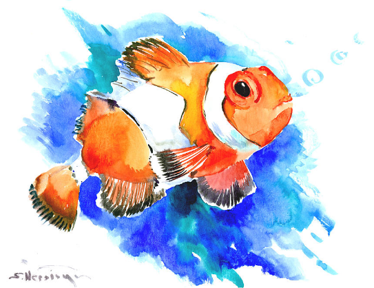 Рыба клоун акварелью