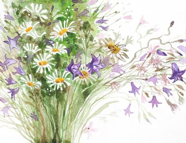 Полевые цветы цветными карандашами