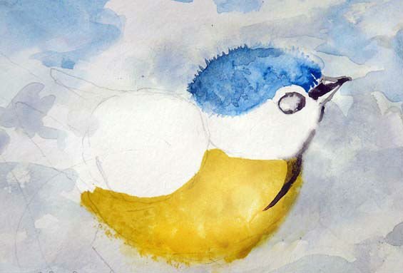 Синицы для рисования гуашью