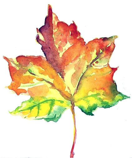 Этюд листьев акварелью