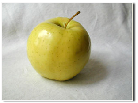 Желтое яблоко акварелью