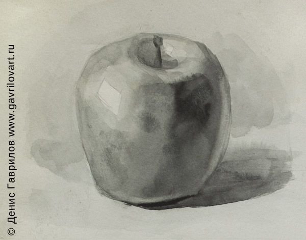 Этюд яблока гризайль