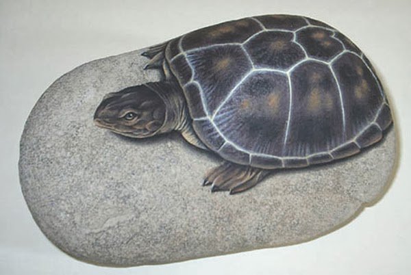 Нарисовать черепашку на Камне