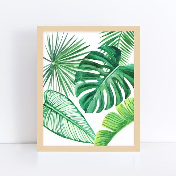 Картина листья монстеры