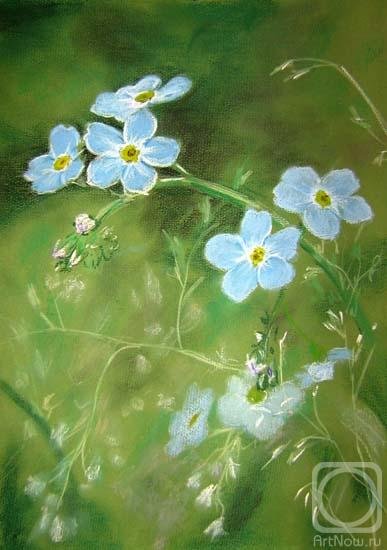 Незабудки пастелью